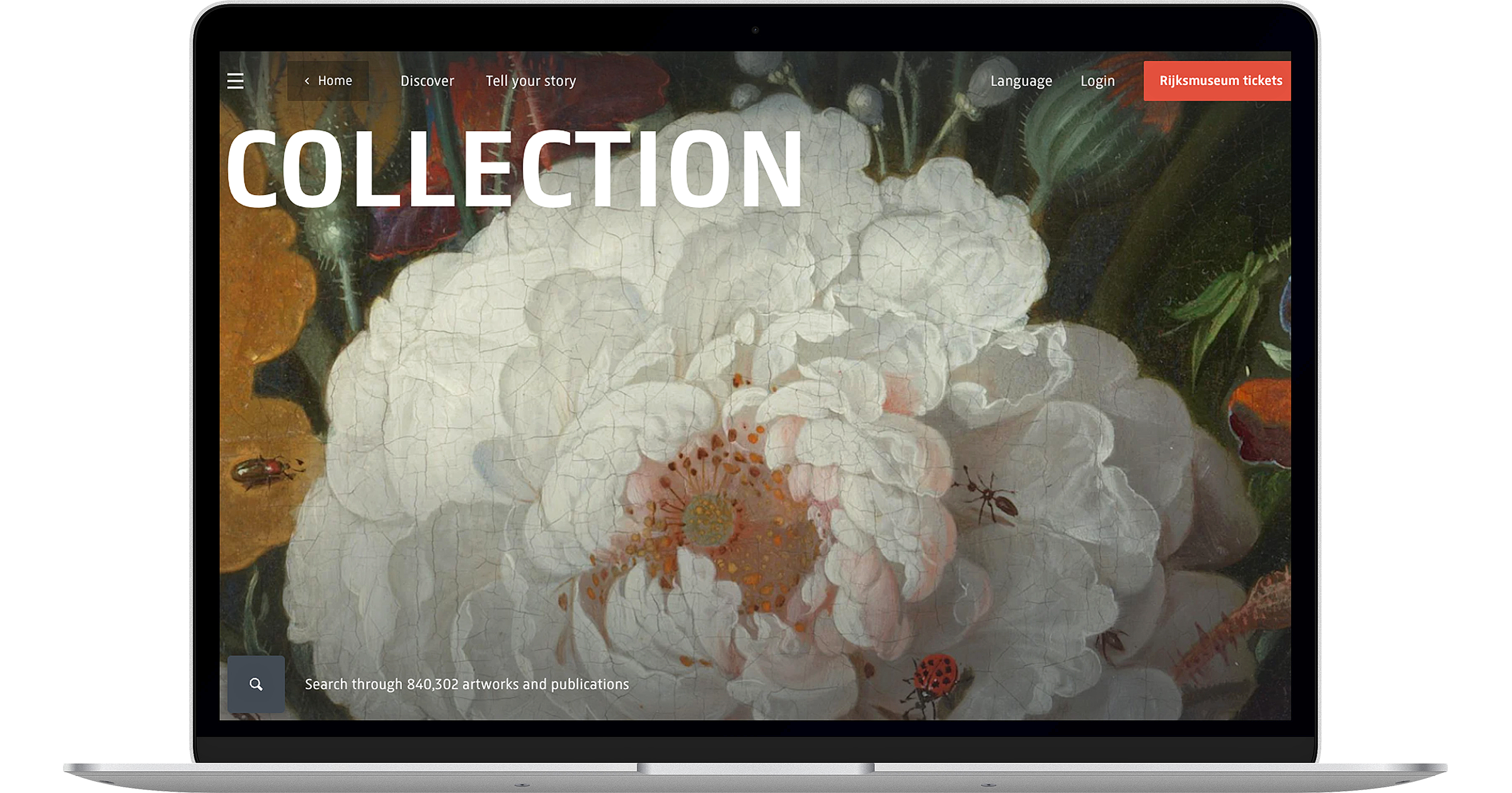 Laptop met de Engelstalige Collectie Online-pagina van het Rijksmuseum, waarop groot het woord 'COLLECTION' en een geschilderde witte bloem te zien zijn.